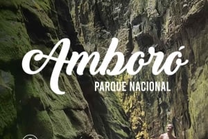 Day Tour / Amboro National Park (north side)