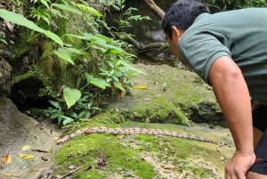 Day Tour / Amboro National Park (north side)