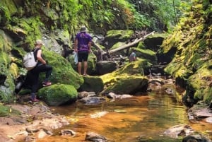 Day Tour / Amboro National Park (north side)