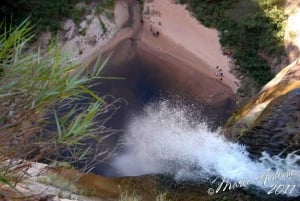 Dagstur til Jardin de las Delicias