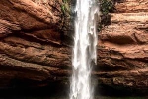 Dagstur til Jardin de las Delicias