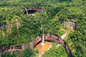 Dagstur til Jardin de las Delicias