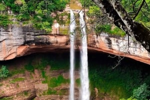 Dagstur til Jardin de las Delicias