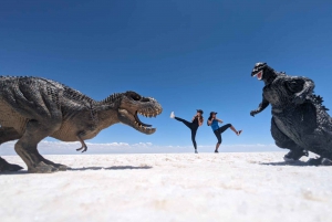 Day Tour Uyuni Salt Flats with lunch and sunset