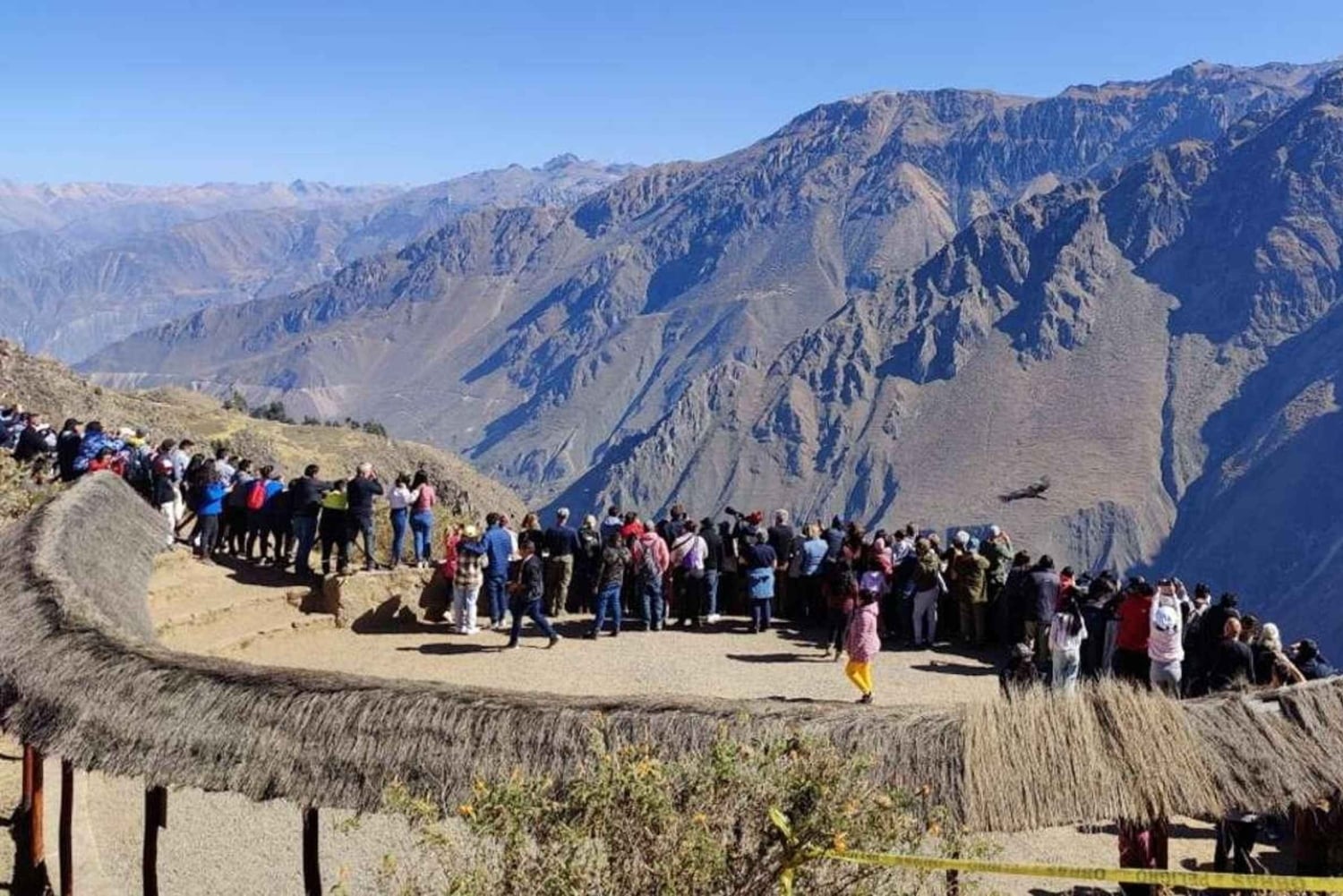 Dagtrip naar de Colca Canyon met aansluiting in Puno