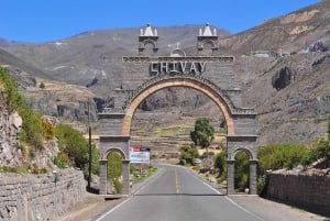 Day trip to the Colca Canyon with connection to Puno