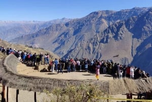 Dagtrip naar de Colca Canyon met aansluiting in Puno