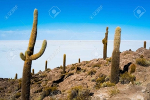 Discover Uyuni Salt Flat 2D/1N