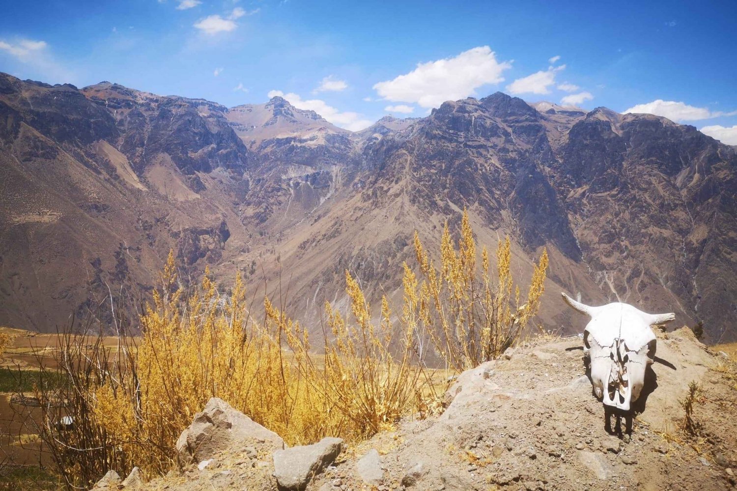 Private Tour - Flucht in die Täler und Canyons von La Paz