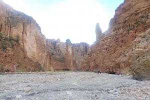 Private Tour - Flucht in die Täler und Canyons von La Paz