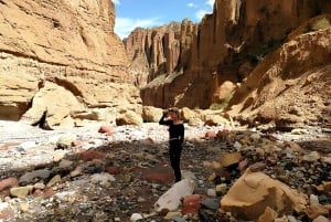 Private tour - Escaping to the valleys and canyons of La Paz