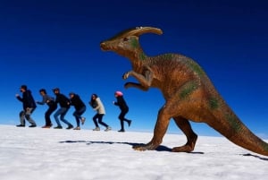 Excursion to the Salar de Uyuni 1 Day + Lunch