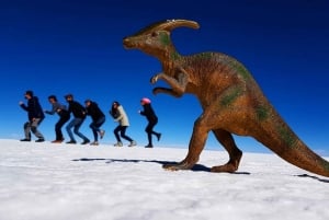 Utflukt til Salar de Uyuni 1 dag + lunsj