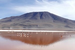 Exkursion zum Salar de Uyuni und Busfahrt über Nacht