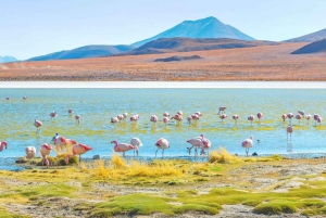 Exkursion zum Salar de Uyuni und Busfahrt über Nacht