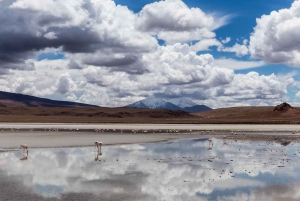 Utflykt till Salar de Uyuni och bussresa med övernattning