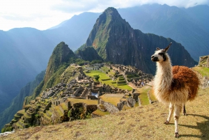 Experience: Machu Picchu and Uyuni Tour