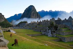 Explore Enchanted Peru in 7 Days/ ICA - PUNO