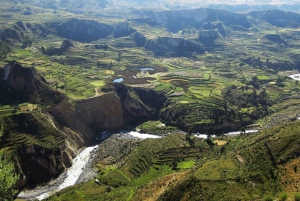 Flight of the condor in Colca 2 days 1 night