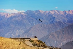 Från Arequipa: 2-dagars Colca Canyon rundtur till Puno