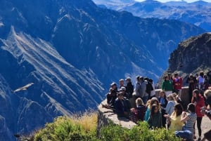 Da Arequipa: tour di 3 giorni al Canyon del Colca e al Lago Titicaca