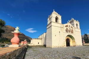 Fra Arequipa: 3-dages tur til Colca-kløften og Titicacasøen