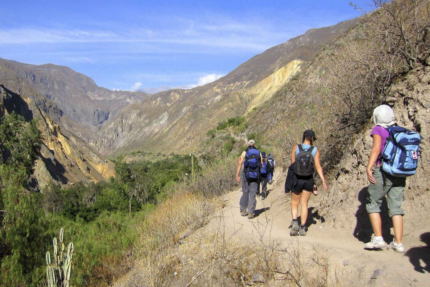 Vanuit Arequipa: Colca Canyon excursie 2D met einde in Puno