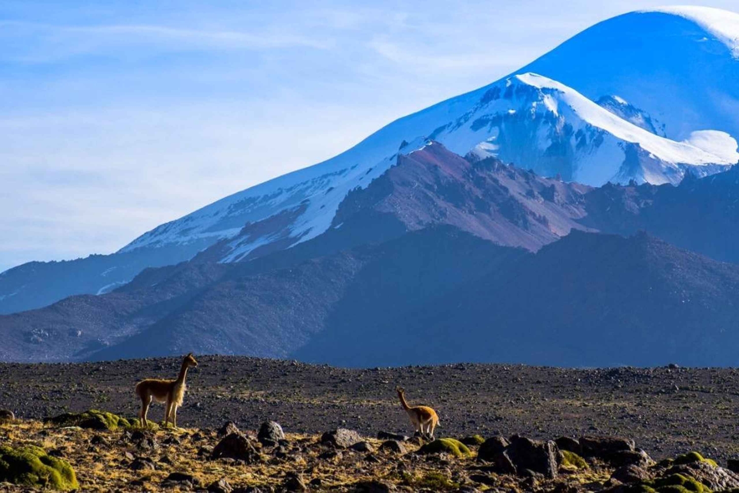 Vanuit Arequipa: Colca Canyon excursie 2D met einde in Puno