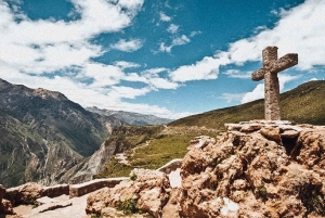 Vanuit Arequipa: Colca Canyon excursie 2D met einde in Puno