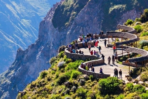 Desde Arequipa: increíble tour con Puno 3d/2 noches