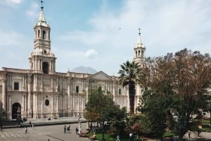 From Arequipa: incredible tour with Puno 3d/2nights