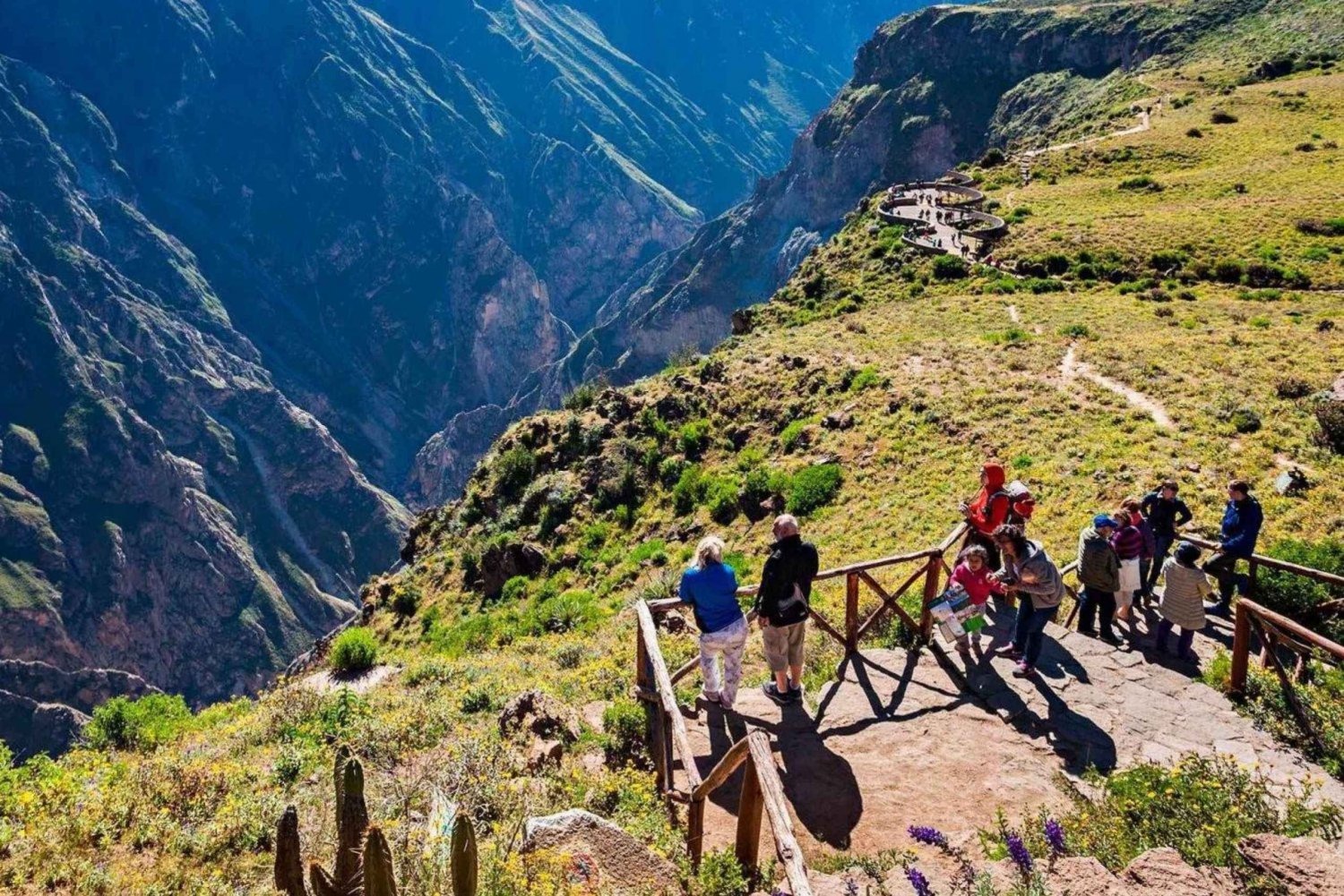 Reise zum Colca Canyon 2 Tage + Transfer nach Puno mit Mahlzeiten