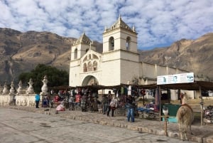 Retki Colca Canyoniin 2 päivää + kuljetus Punoon aterioineen