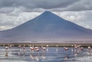 Da Atacama, Cile: tour privato di 2 giorni alle saline di Uyuni.