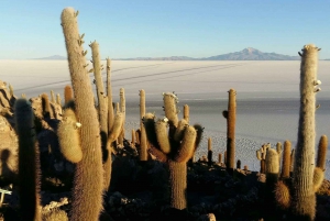 Fra Atacama | Privat service - Uyuni Salt Flat - 3 dage