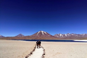 Van Atacama | Privéservice - Uyuni zoutvlakte - 3 dagen