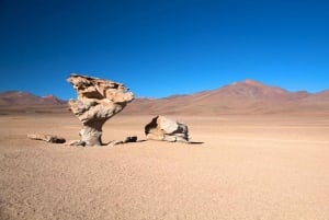 From Atacama | Salar de Uyuni 4 days the largest salt lake