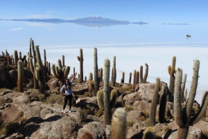 Da Atacama | Piana di sale di Uyuni 4 giorni la più grande piana di sale