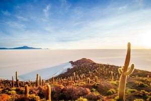 From Atacama: Uyuni Salt Flat 4-days the largest salt flat