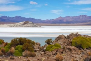 Atacamasta: Uyuni Salt Flat 4 päivää suurin suolatasanko: Uyuni Salt Flat 4 päivää suurin suolatasanko