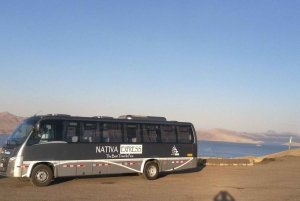 Z Colca: Autobus turystyczny z Chivay do Puno