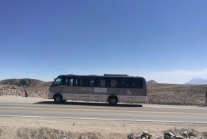 Z Colca: Autobus turystyczny z Chivay do Puno