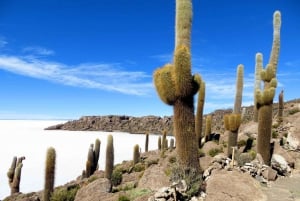 From Cusco: 3-Day Salar de Uyuni Tour with Bus Transfers