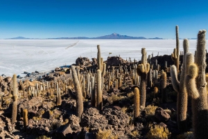 Från Cusco: 3-dagars Salar de Uyuni-tur med busstransfer