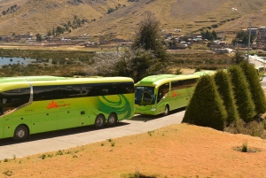 Z Cusco: Jezioro Titicaca z wizytą w Uros i Taquile