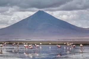 Van La Paz: 2-daagse Uyuni-zoutvlakten en rode lagune per vlucht.