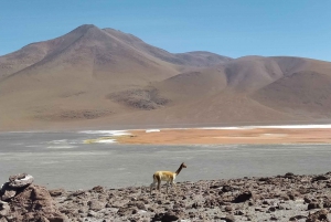 Fra La Paz: 2-dagers Uyuni Salt Flats & Red Lagoon med fly.