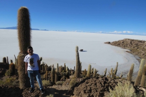 Van La Paz: 2-daagse Uyuni-zoutvlakten en rode lagune per vlucht.