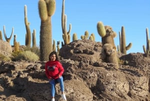 Från La Paz: 2-dagars flygresa till Uyuni Salt Flats och Red Lagoon.