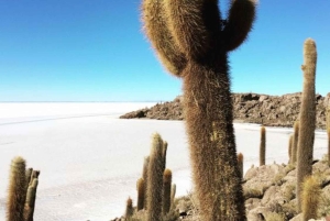 De La Paz: Viagem de 1 dia para La Paz e o Salar de Uyuni